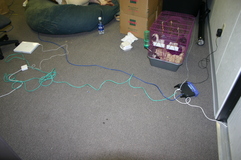 SexNet